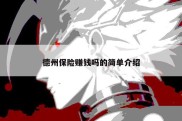 德州保险赚钱吗的简单介绍