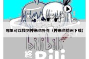哪里可以找到神来也扑克（神来也德州下载）