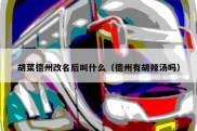 胡菜德州改名后叫什么（德州有胡辣汤吗）