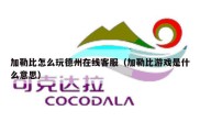 加勒比怎么玩德州在线客服（加勒比游戏是什么意思）