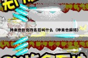 神来也扑克改名后叫什么（神来也麻将）