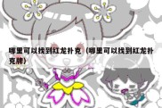 哪里可以找到红龙扑克（哪里可以找到红龙扑克牌）