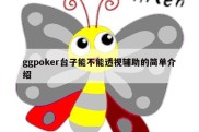 ggpoker台子能不能透视辅助的简单介绍