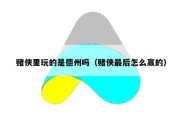 赌侠里玩的是德州吗（赌侠最后怎么赢的）