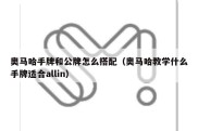 奥马哈手牌和公牌怎么搭配（奥马哈教学什么手牌适合allin）