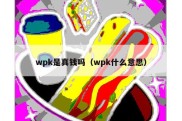 wpk是真钱吗（wpk什么意思）