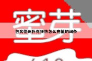包含德州扑克狂热怎么充值的词条