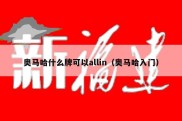 奥马哈什么牌可以allin（奥马哈入门）
