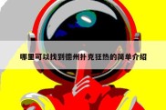 哪里可以找到德州扑克狂热的简单介绍