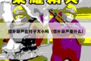 德扑葫芦比对子大小吗（德扑葫芦是什么）