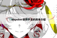 wepoker软件平台的简单介绍