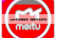 wpk平台辅助挂（辅助平台软件）
