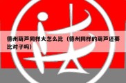 德州葫芦同样大怎么比（德州同样的葫芦还要比对子吗）