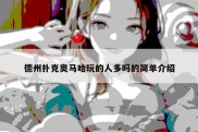 德州扑克奥马哈玩的人多吗的简单介绍