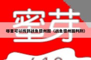 哪里可以找到战鱼德州圈（战鱼德州圈判刑）