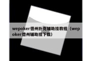 wepoker德州扑克辅助挂教程（wepoker德州辅助挂下载）