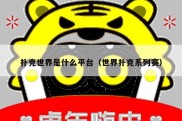 扑克世界是什么平台（世界扑克系列赛）