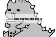 部落先锋客服的简单介绍