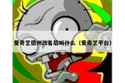 爱奇艺德州改名后叫什么（爱奇艺平台）
