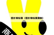 德扑锦标赛（德扑锦标赛赛制）