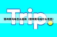 德州奥马哈怎么组局（德州奥马哈什么意思）