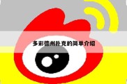多彩德州扑克的简单介绍