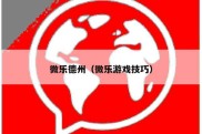微乐德州（微乐游戏技巧）