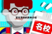 智玩竞技的简单介绍