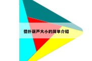 德扑葫芦大小的简单介绍