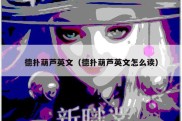德扑葫芦英文（德扑葫芦英文怎么读）