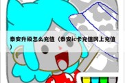 泰安升级怎么充值（泰安ic卡充值网上充值）
