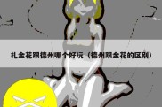 扎金花跟德州哪个好玩（德州跟金花的区别）