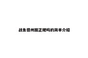 战鱼德州圈正规吗的简单介绍