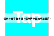德州扑克专业术语（德州牌扑克的玩法图片）